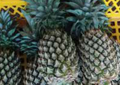 Pineapple